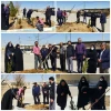 هفته  درختکاری 2